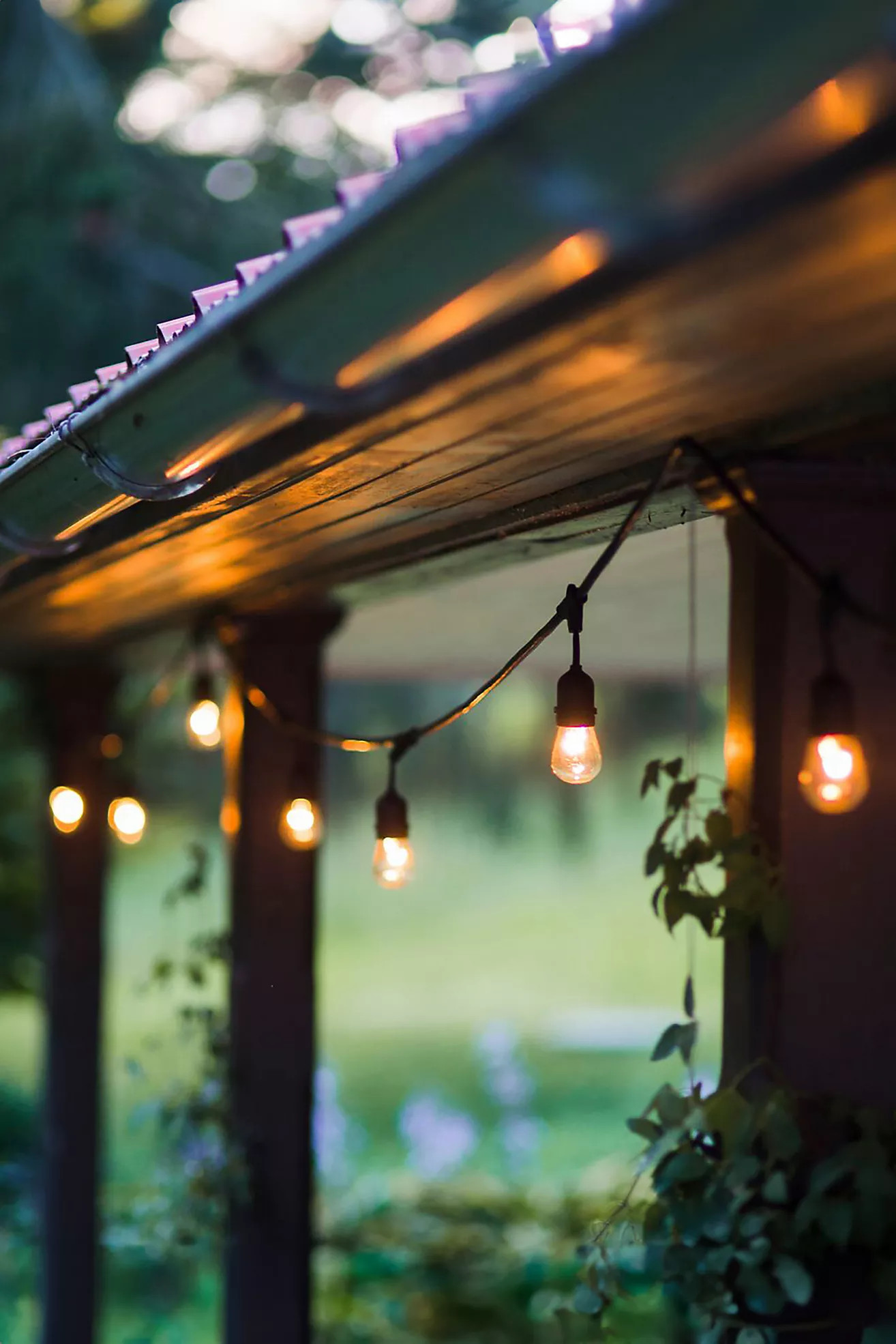 Solar Light Strand, 48" | Terrain