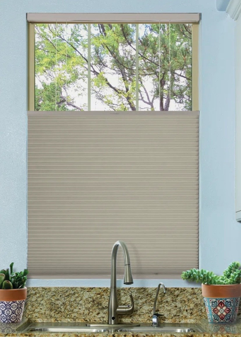 Cordless Top Down/Bottom Up Blackout Cellular Shade, 9/16" Single Cell


#LTKstorytime #LTKActive #LTKHome