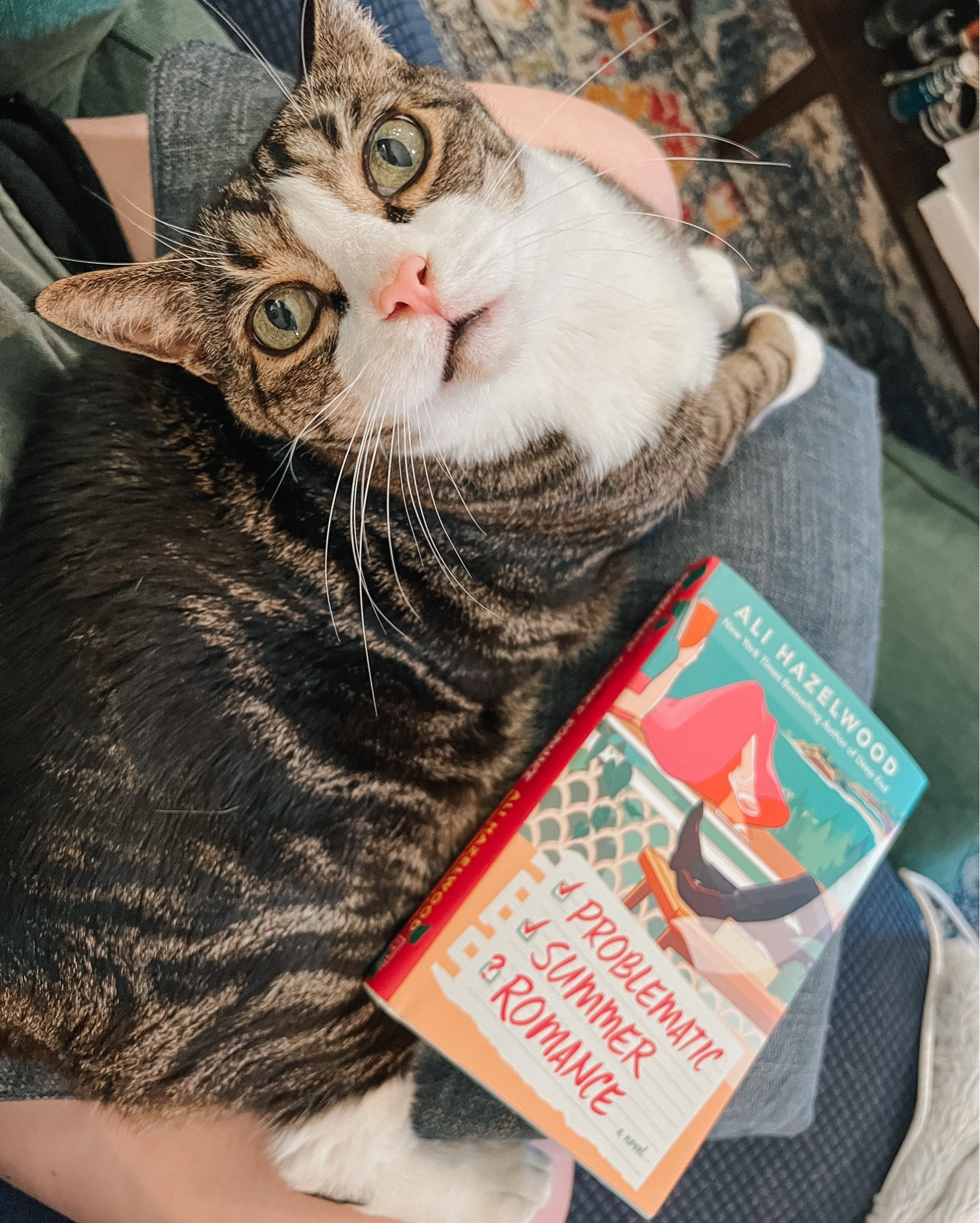 Even Louis is excited for the new Ali Hazelwood book! 📖 Problematic Summer Romance 💘 

#LTKSummerEdit #LTKPets #LTKSeasonal
