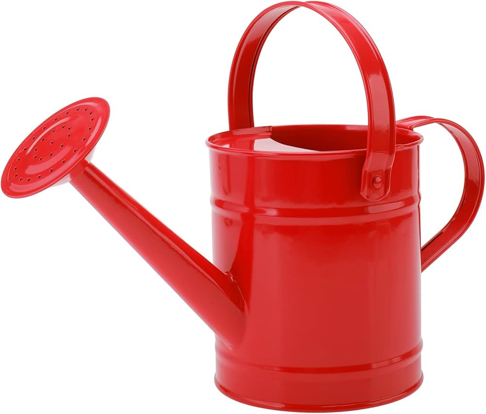 Finderomend Metal Watering Can 1.5L/51oz, Iron Art for Kids Watering Can, Watering Can for Outdoo... | Amazon (US)