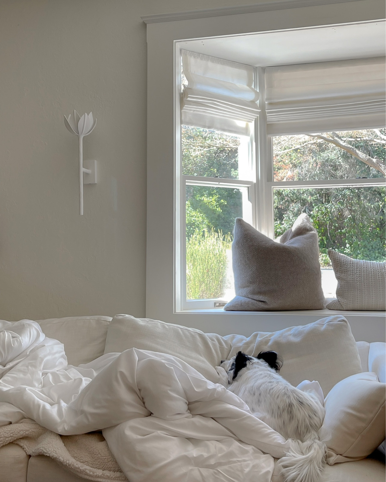 Jenni Kayne Black Friday Sale 〰️ 25% off with TYLERHARLESS_25 🕊️

A favorite home item: Alpaca Basketweave Pillow in Oatmeal

So soft and squishy and amazing quality. 

#LTKsalealert #LTKhome #LTKCyberweek