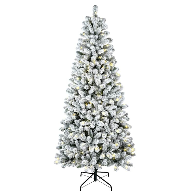(B2) Pre-Lit LED Flocked Fraser Fir Christmas Tree, 7' | At Home