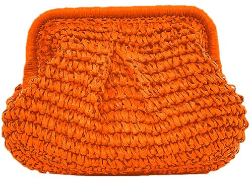 DIHKLCIO Straw Clutch Purses for Women Summer Beach Woven Bag Purse 2025 Cloud Dumpling Pouch Crossbody Handbags Orange | Amazon (US)