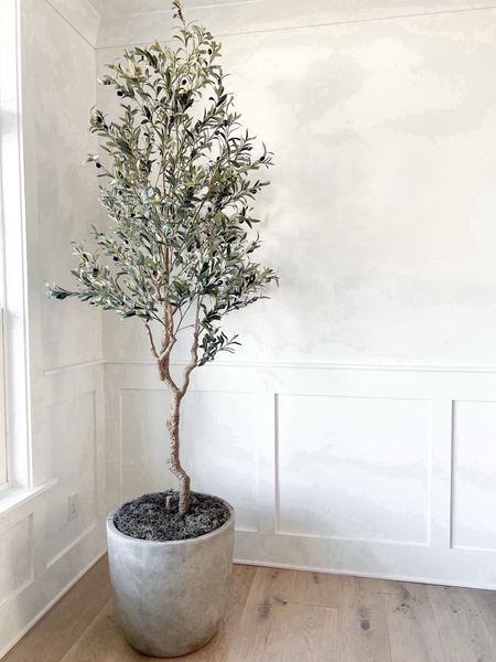 My olive tree is back in stock! 

This is the 8ft size 

Olive tree, concrete planter, home decor, Amazon home

#LTKHome #LTKFindsUnder100 #LTKSaleAlert