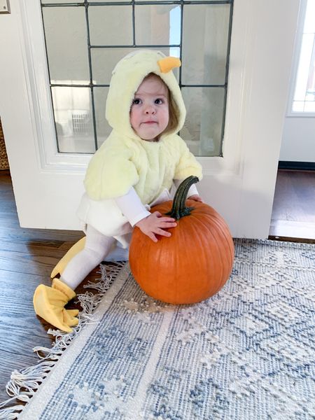 Halloween costume ideas for babies and toddlers 

#LTKbaby #LTKHalloween