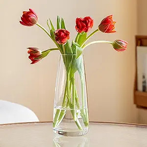 FANTESTICRYAN Modern Glass Vase Irised Crystal Clear Glass Vase for Home Office Decor (Crystal Cl... | Amazon (US)