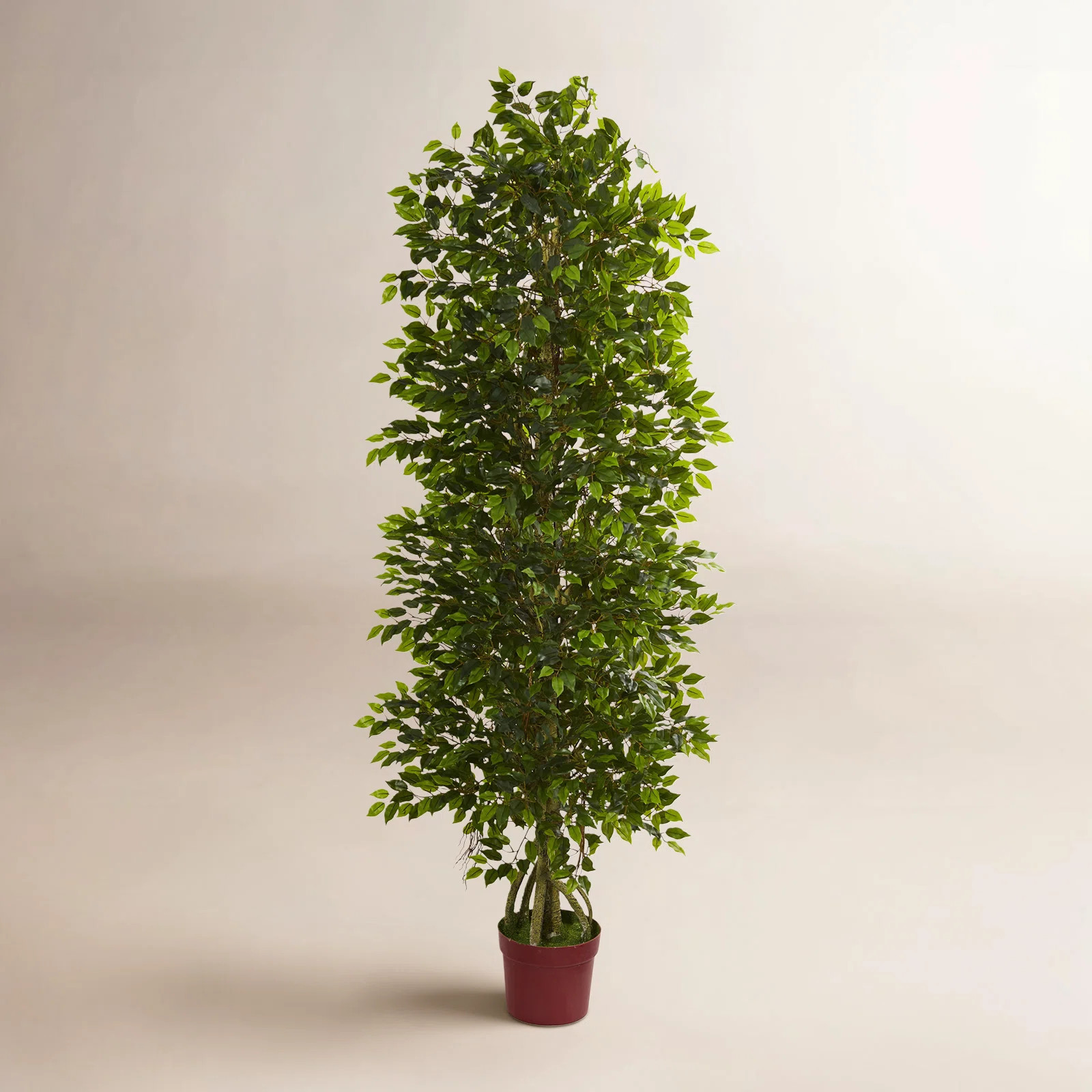 6ft. Four Tier Mini Ficus Artificial Tree UV Resistant (Indoor/Outdoor) | Birch Lane