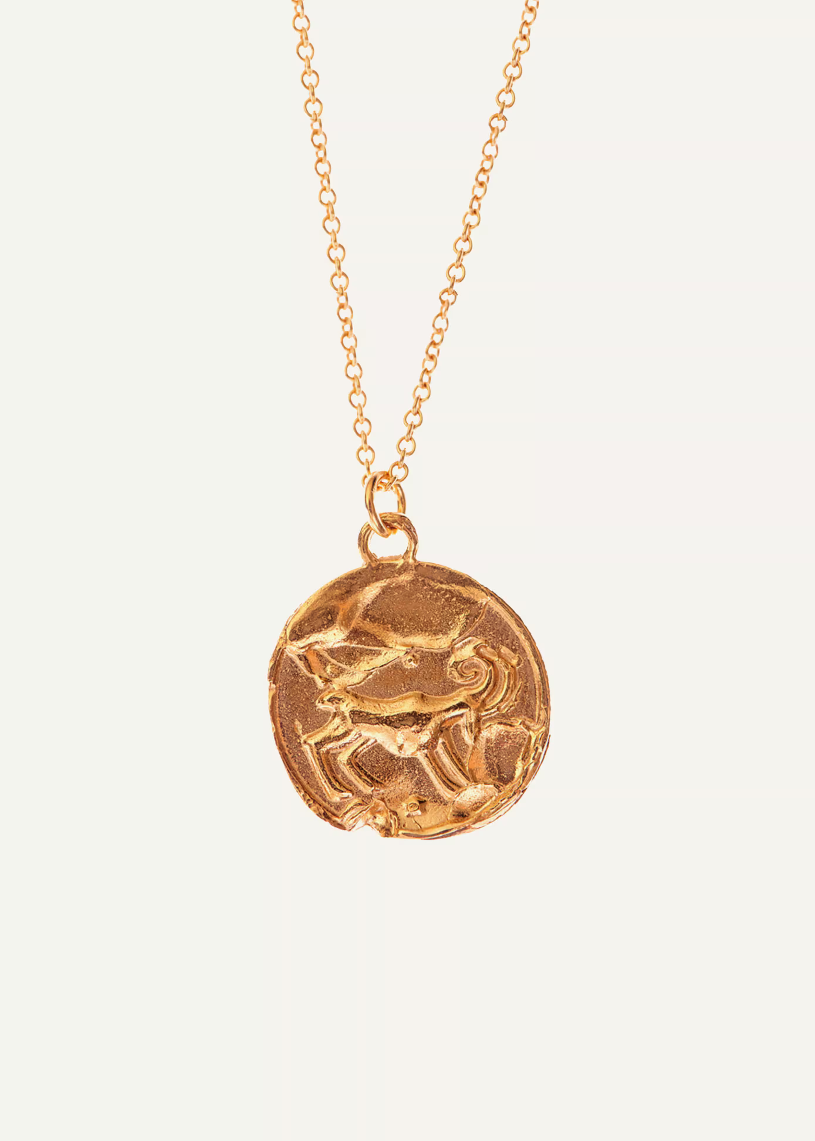 Women's Gold Aries Necklace | ME+EM | ME+EM US