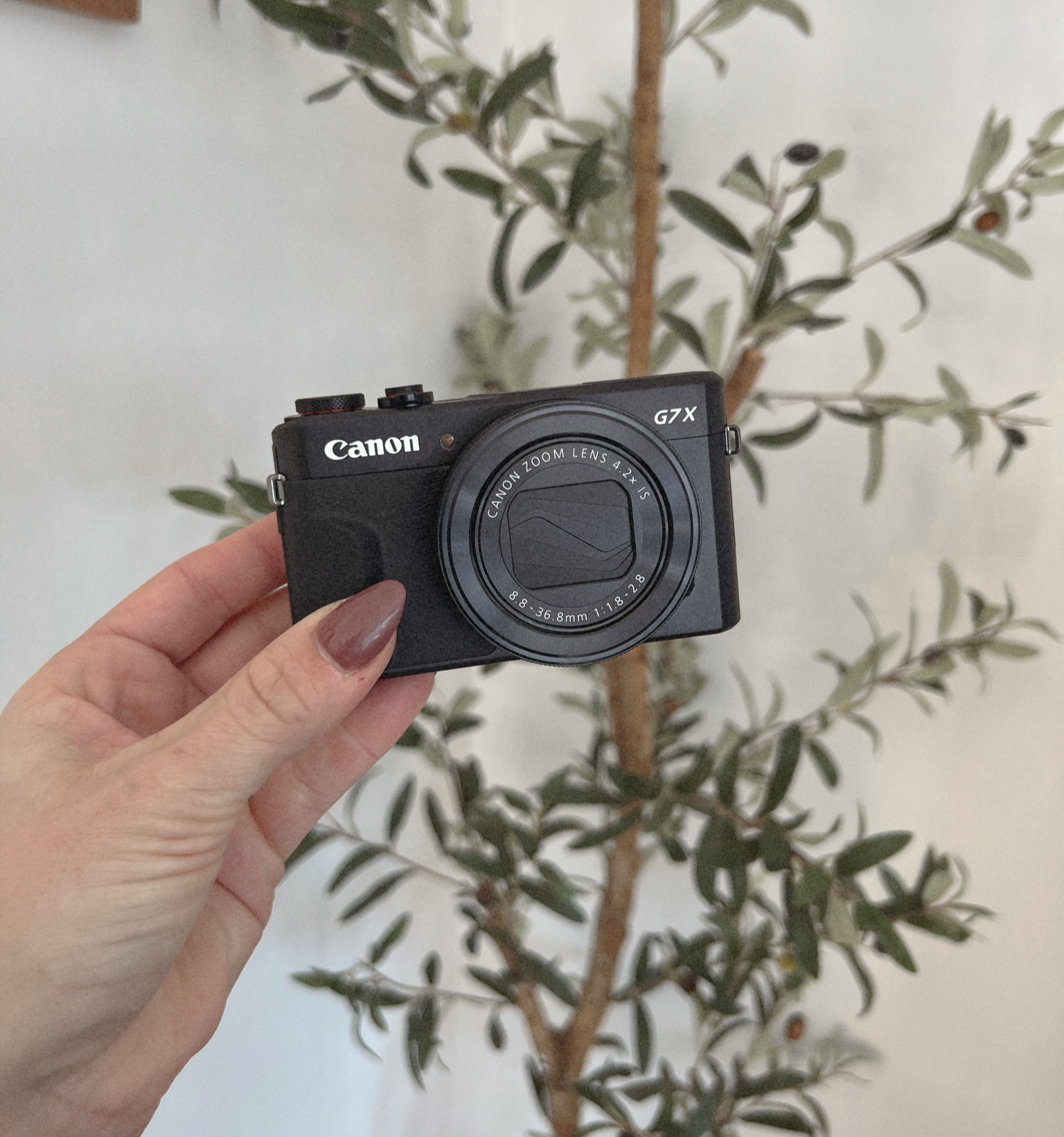 Travel point & shoot camera 🫶🏻 

#LTKFind #LTKGiftGuide #LTKtravel