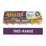 Nellie's Free-Range Large Brown Eggs, 12 Count | Walmart (US)