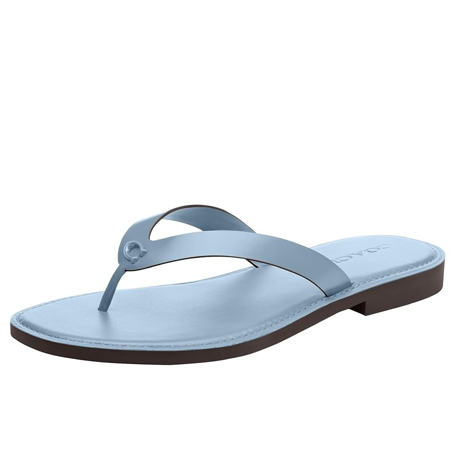 Coach Women's Brianna Flip Flop Flat Sandals | Amazon (US)
