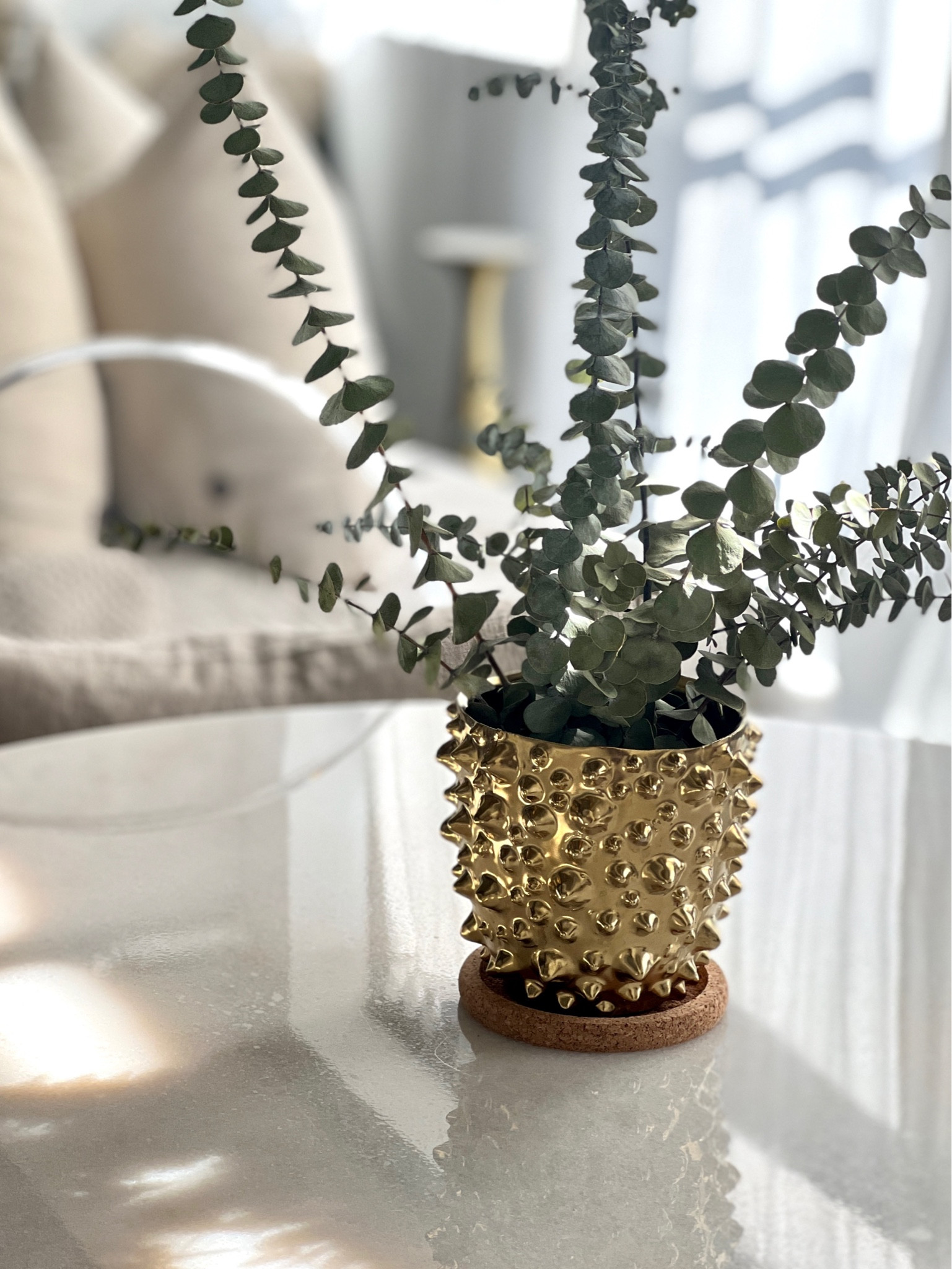 Gold interior planter for muted neutral interior design. Planters | garden | gardening | indoor planter |amazon | Amazon interiors 

#LTKhome #LTKunder50 #LTKstyletip