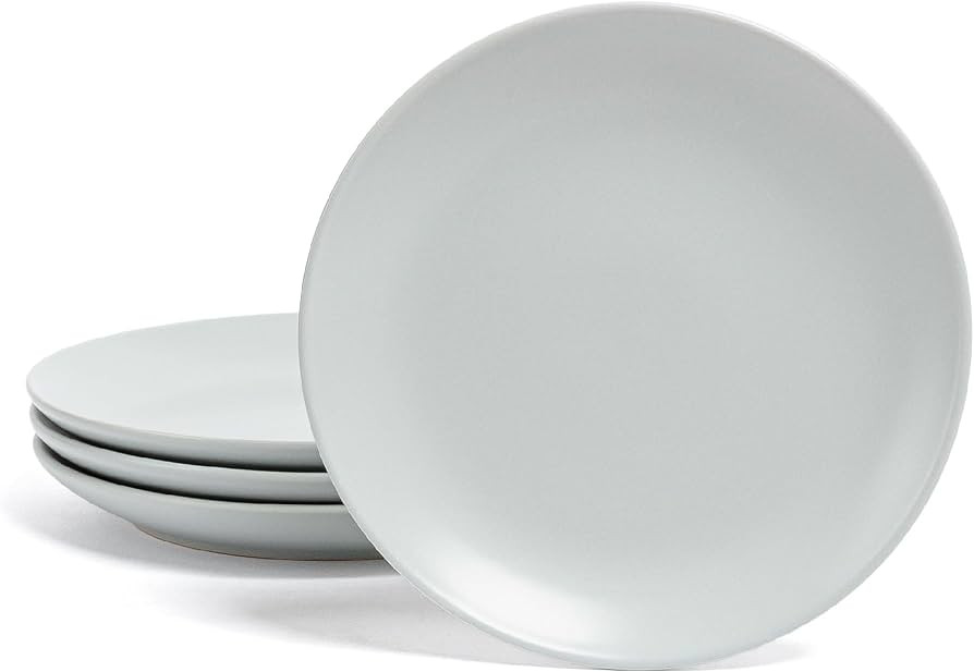 over&back Stoneware Plates - Dish Set with 4 Appetizer Plates - 4-Piece All-Occasion Place Settin... | Amazon (US)