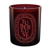 Click for more info about Diptyque Tubereuse Coloured Scented Candle