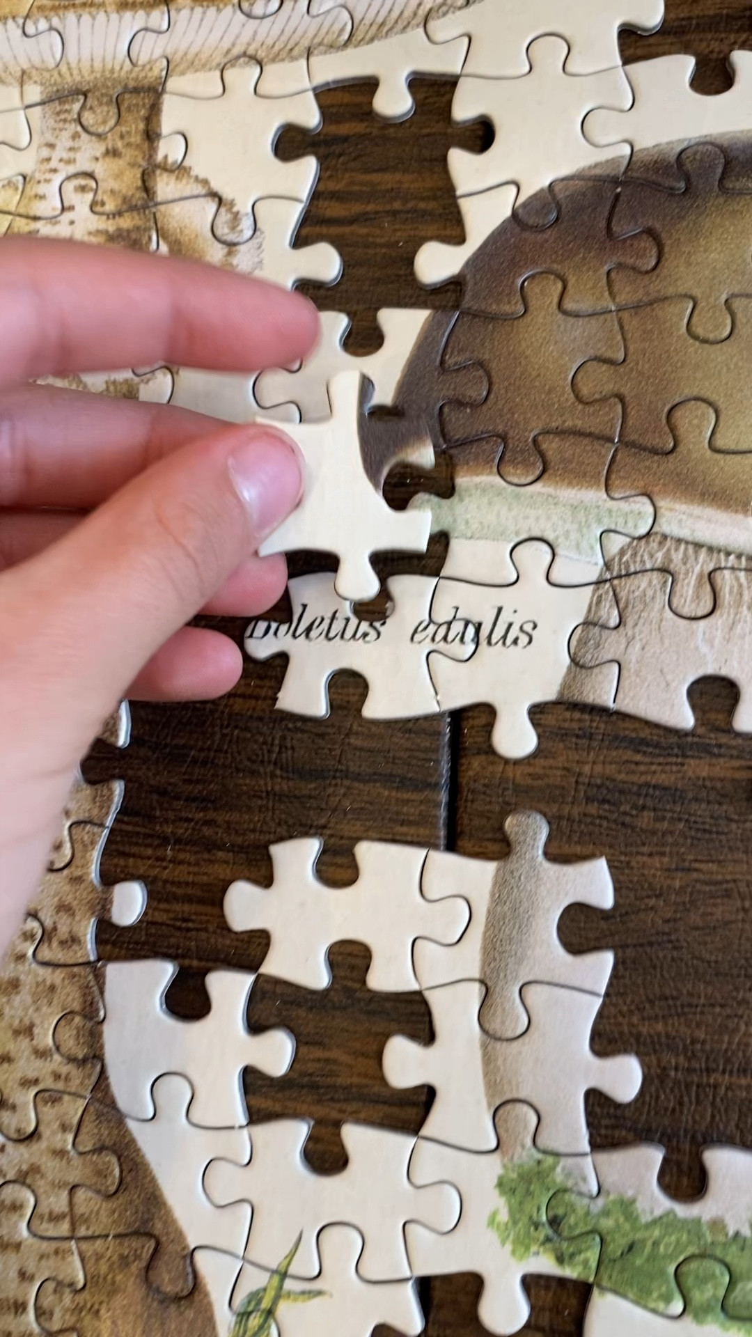 We put this together over Thanksgiving! Great one if you like a bit of a challenge. The edge is similar all the way around & lots of pieces with no markings… you have to go by shape 😅 fun for us!

#LTKfamily #LTKhome #LTKGiftGuide