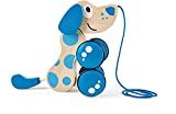 Amazon.com: Hape Walk-A-Long Puppy Wooden Pull Toy | Push Pull Toy Puppy For Toddlers Can Sit, St... | Amazon (US)