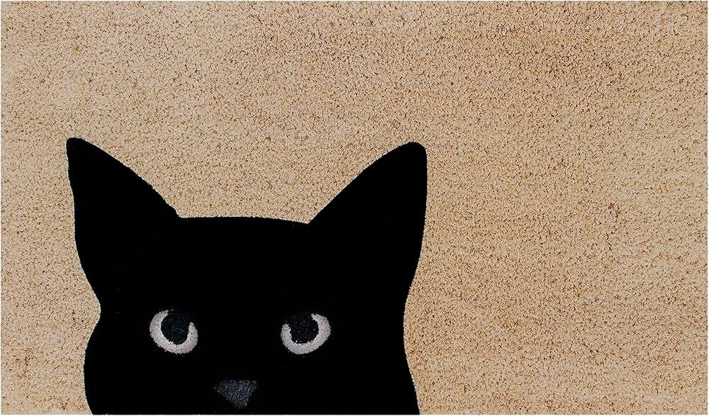 THEODORE MAGNUS Natural Coir Doormat with Non-Slip Backing - 17 x 30 - Outdoor/Indoor - Cat Door ... | Amazon (US)