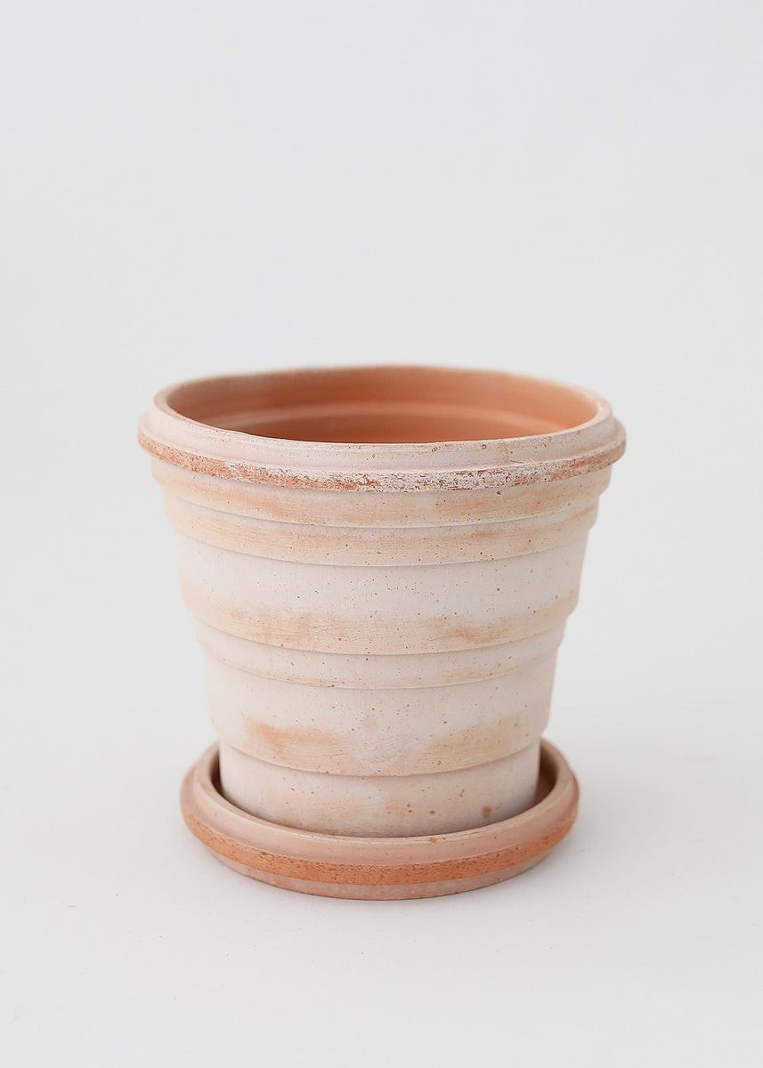 Bergs Pink Terra Cotta Pot with Drainage - 6 | Afloral (US)