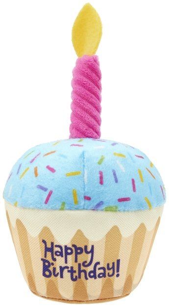 Frisco Plush Birthday Cupcake with Squeaker Dog Toy | Chewy.com
