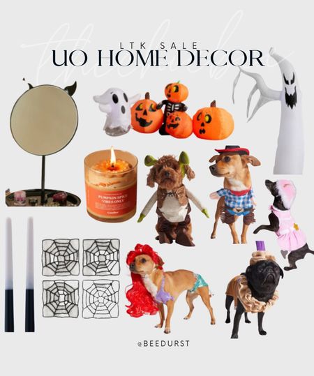Halloween decor and pet costumes on sale at urban outfits for ltk sale 

#LTKfindsunder50 #LTKHalloween #LTKSale