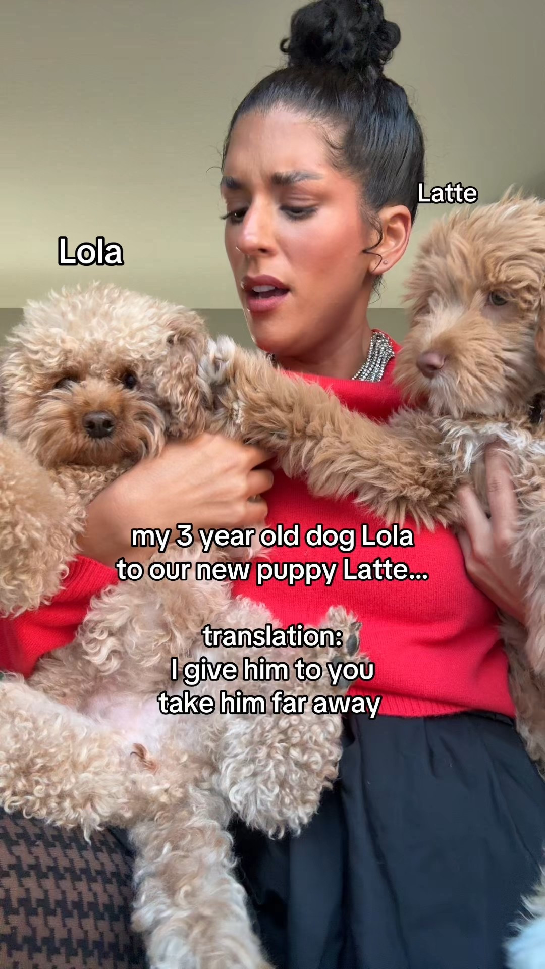 When your dogs have bigger personalities than you 😂
Meet Lola & Latte; my favorite little duo that somehow steals the spotlight every time. If you’re shopping for cozy looks or cute pet finds, I’ve linked my favorites below! Tap to shop 🐶💖
#jcrew #target #pets

#LTKStyleTip #LTKdayinmylife #LTKFamily