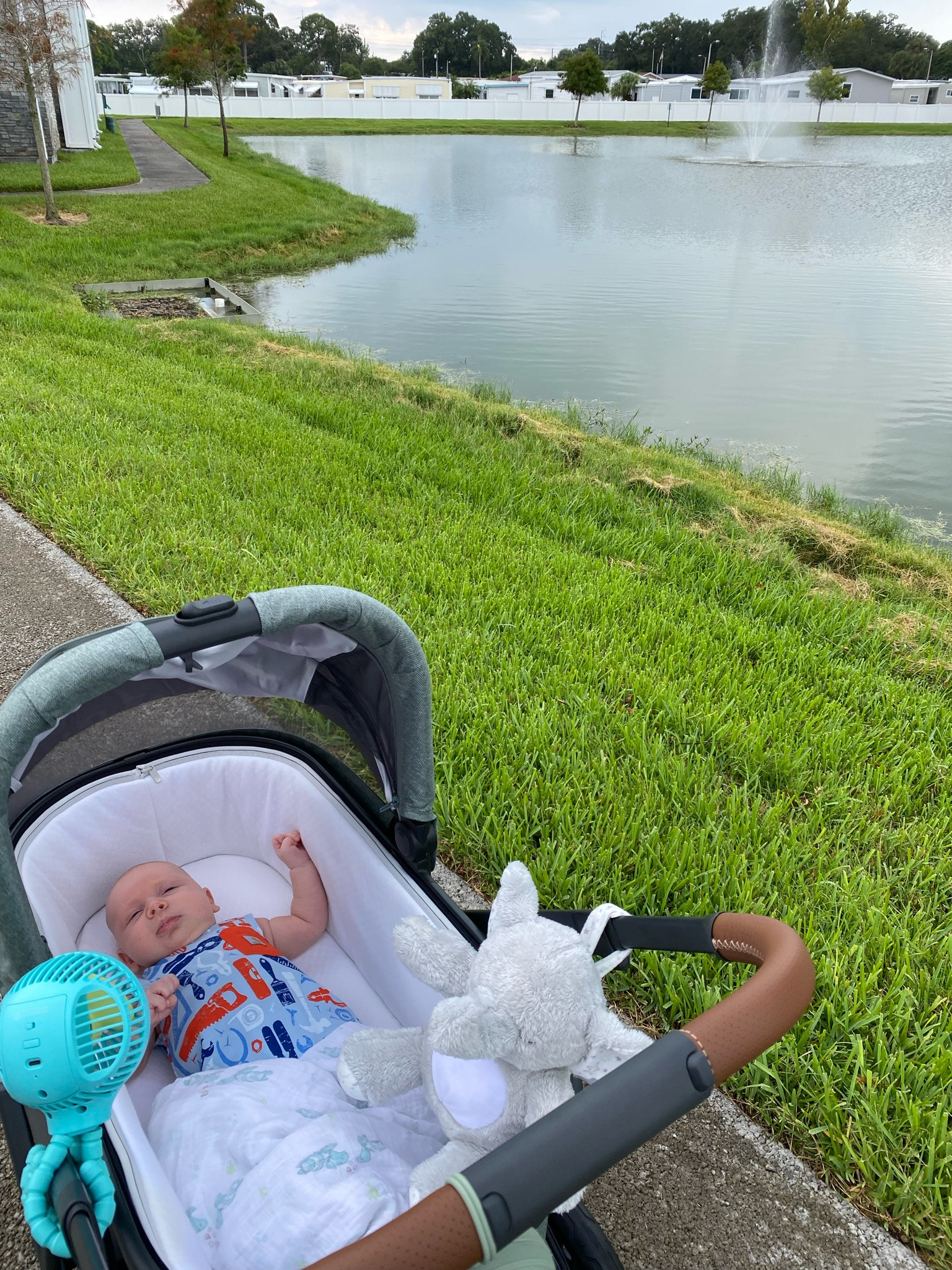 #LTKKids #LTKBaby #LTKFamily