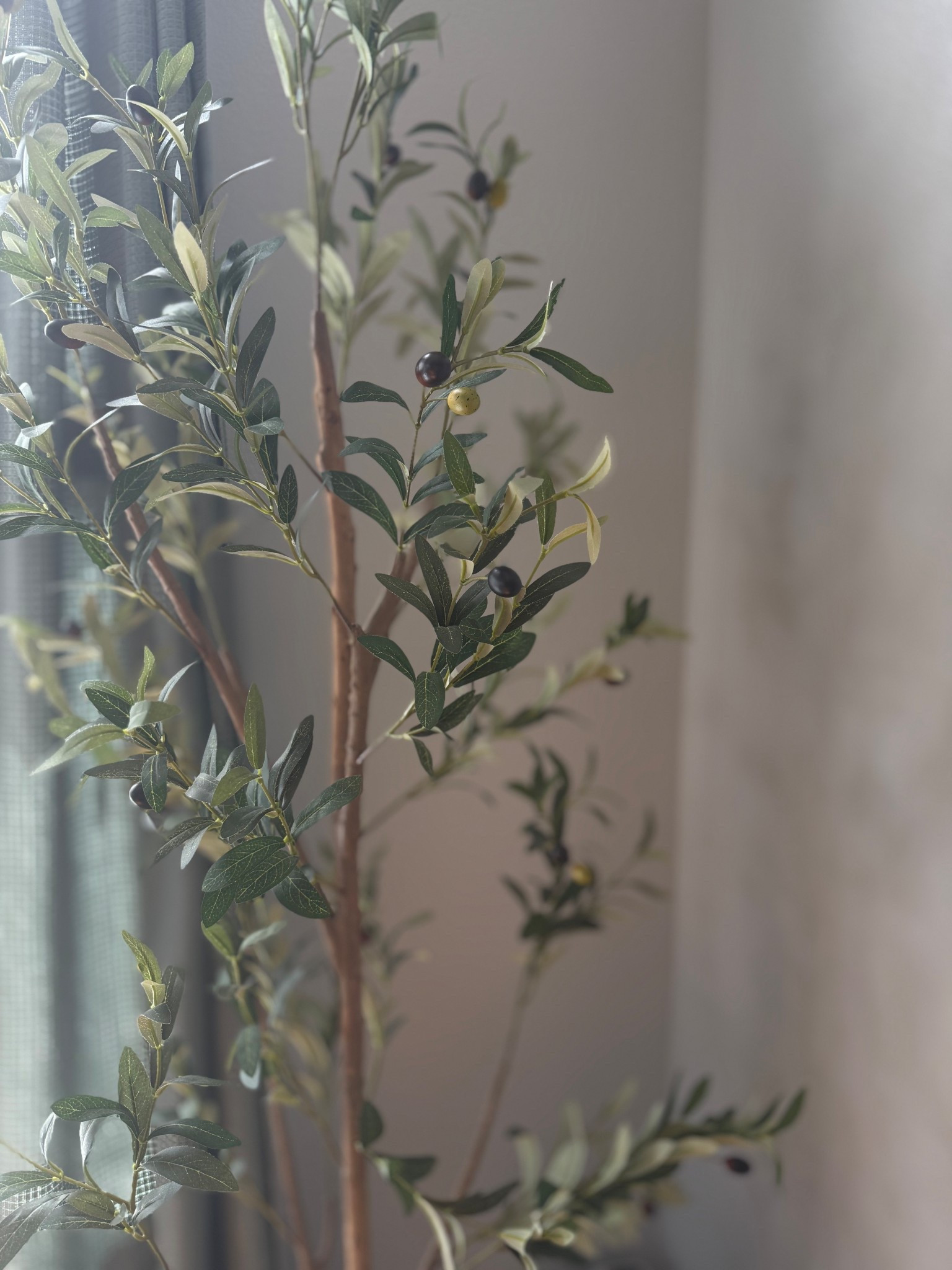 Best faux olive plant 😍🤌🏻

#amazonspringsale

#LTKHome #LTKSaleAlert #LTKStyleTip