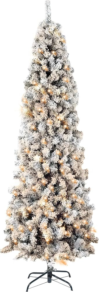 Visit the Annecy Store | Amazon (US)