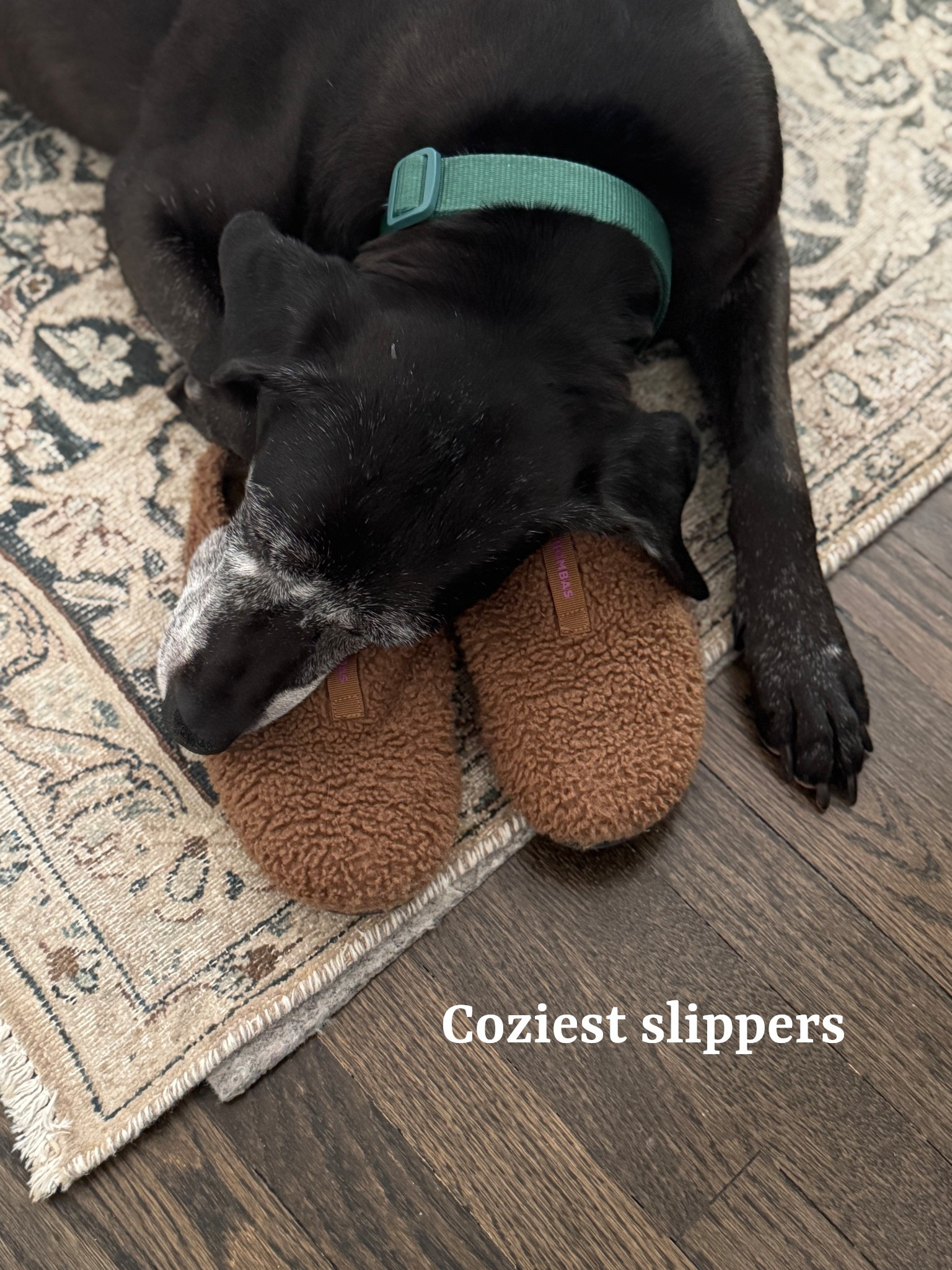 These are my absolute favorite slippers and clearly Scarlet’s too! Like pillows for your feet? 🐾🖤