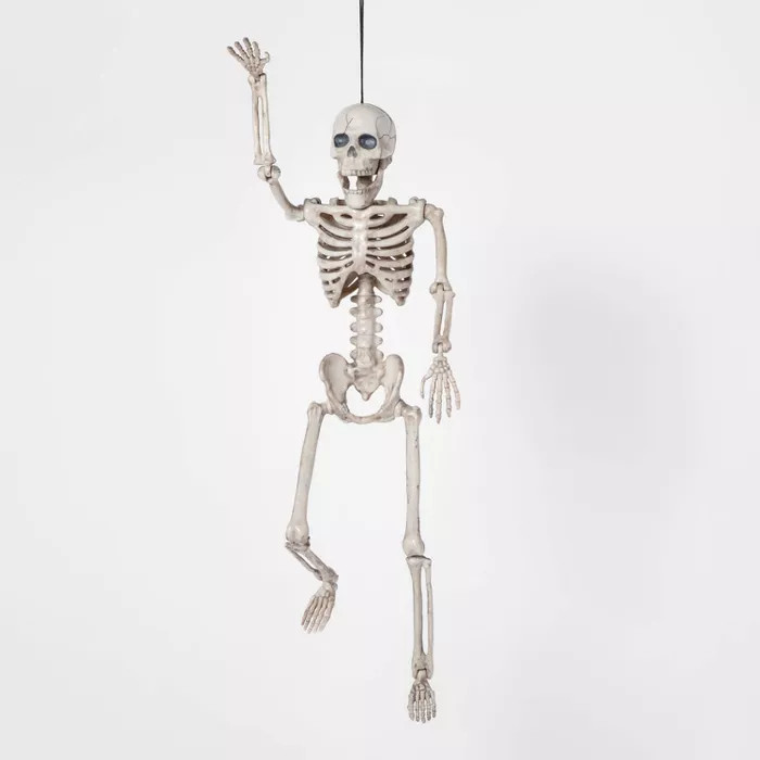 16" Posable Skeleton S Halloween Decorative Mannequin - Hyde & EEK! Boutique™ | Target