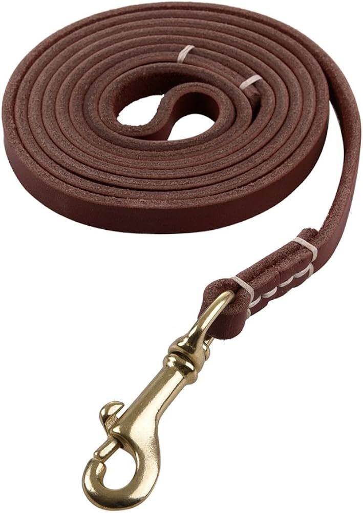Reopet 4 Feet Real Genuine Leather Small & Medium Dog Leash - Brown,3/8" X 4' | Amazon (US)