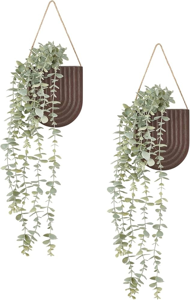Dahey 2 Pack Wood Wall Vase with Fake Eucalyptus Plants, Modern Farmhouse Boho Wall Hanging Decor... | Amazon (US)