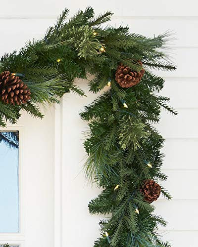 Balsam Hill | Artificial Christmas Garland for The Home | Traditional Holiday Decorations | Equipped with LED Clear Lights | for Indoor Decor (Mixed Evergreen 6FT (Pack of 2)) | Amazon (US)