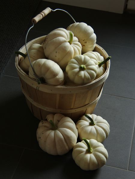 Spooky season 🎃 #pumpkins 