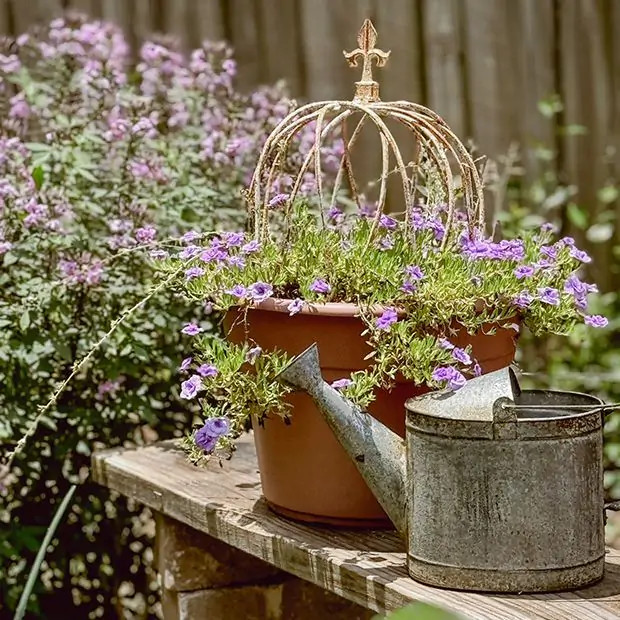 Crown Style Decorative Cloche Set of 3 | Antique Farm House