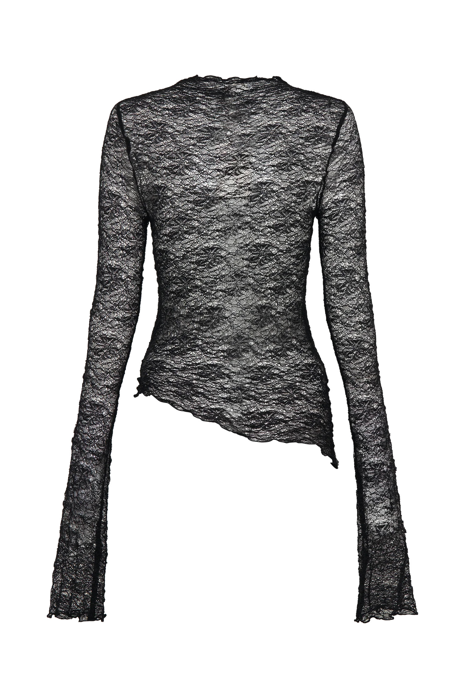 Riley Sheer Lace Long Sleeve Top - Black | MESHKI US