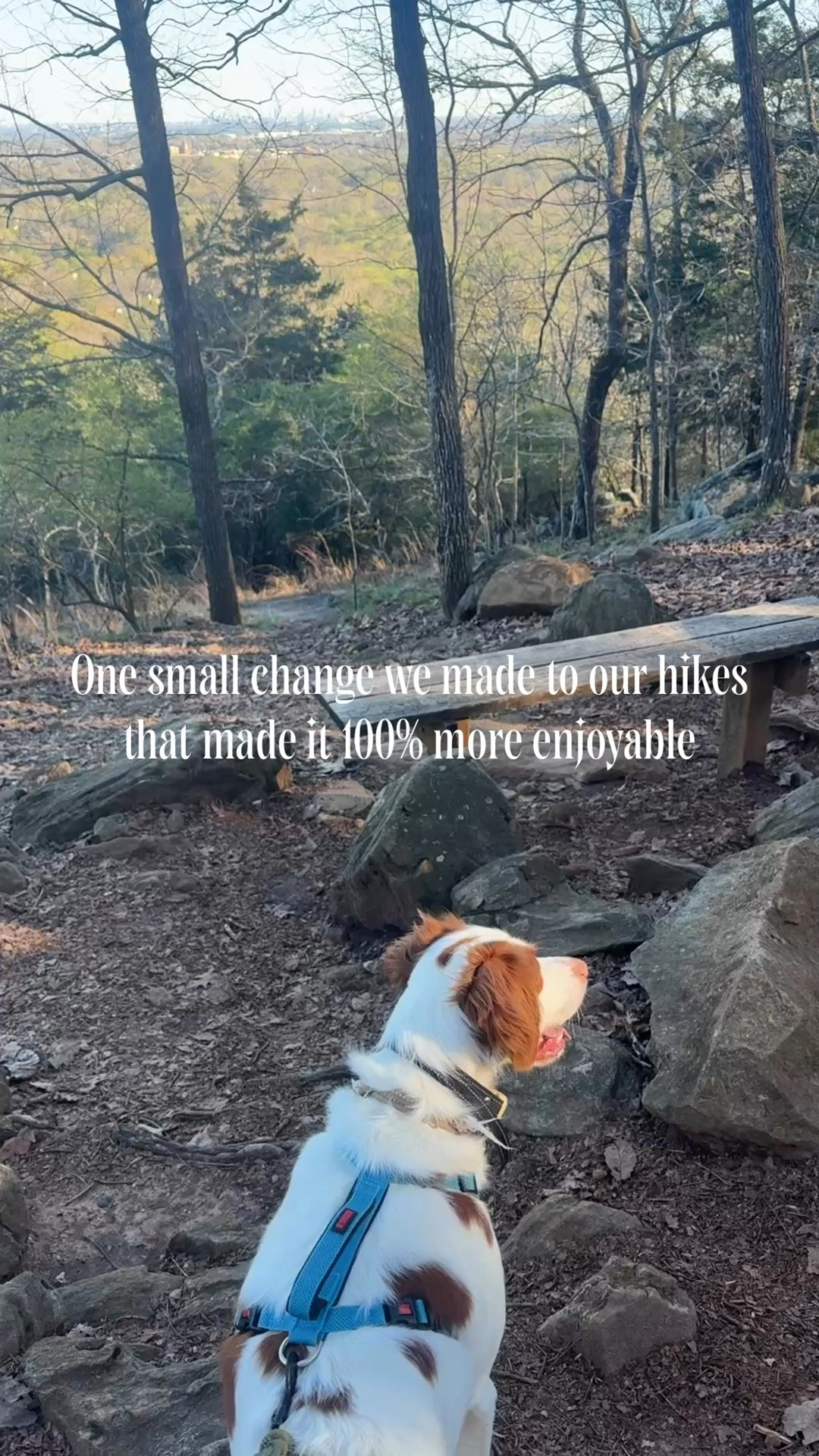 Hands free dog leash 
Amazon leash 
Perfect leash for hiking 

#LTKfitnessgoals #LTKActive #LTKTravel