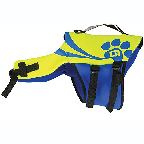 O'Brien Pet Life Vest, Small, Yellow/Blue | Amazon (US)