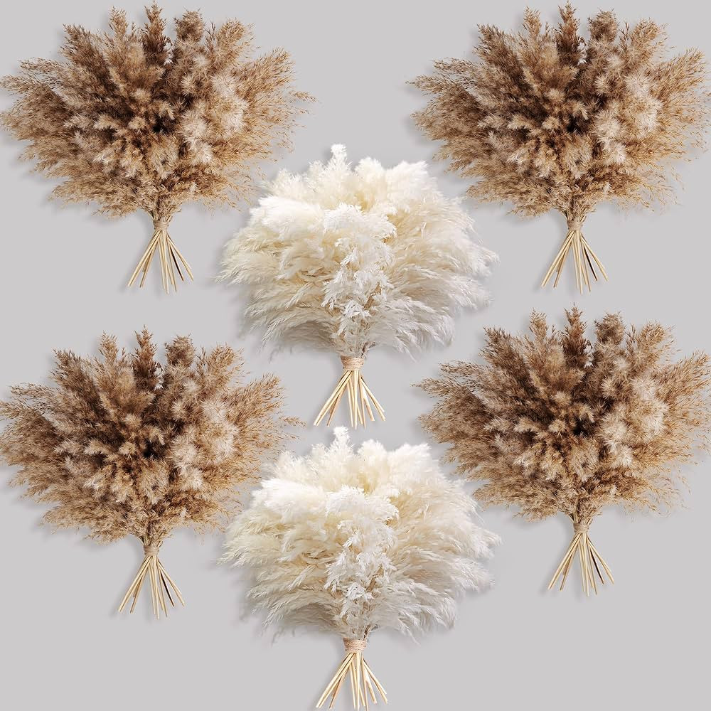 60 PCS Boho Decor, Fluffy Pompas Grass, Natural Dry Pampas Grass Small, Short Pampass Bulk for Bo... | Amazon (US)