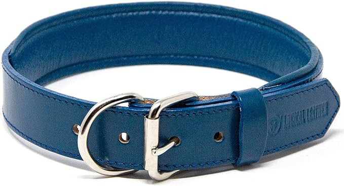 Logical Leather Padded Dog Collar - Best Full Grain Heavy Duty Genuine Leather Collar - Blue - La... | Amazon (US)
