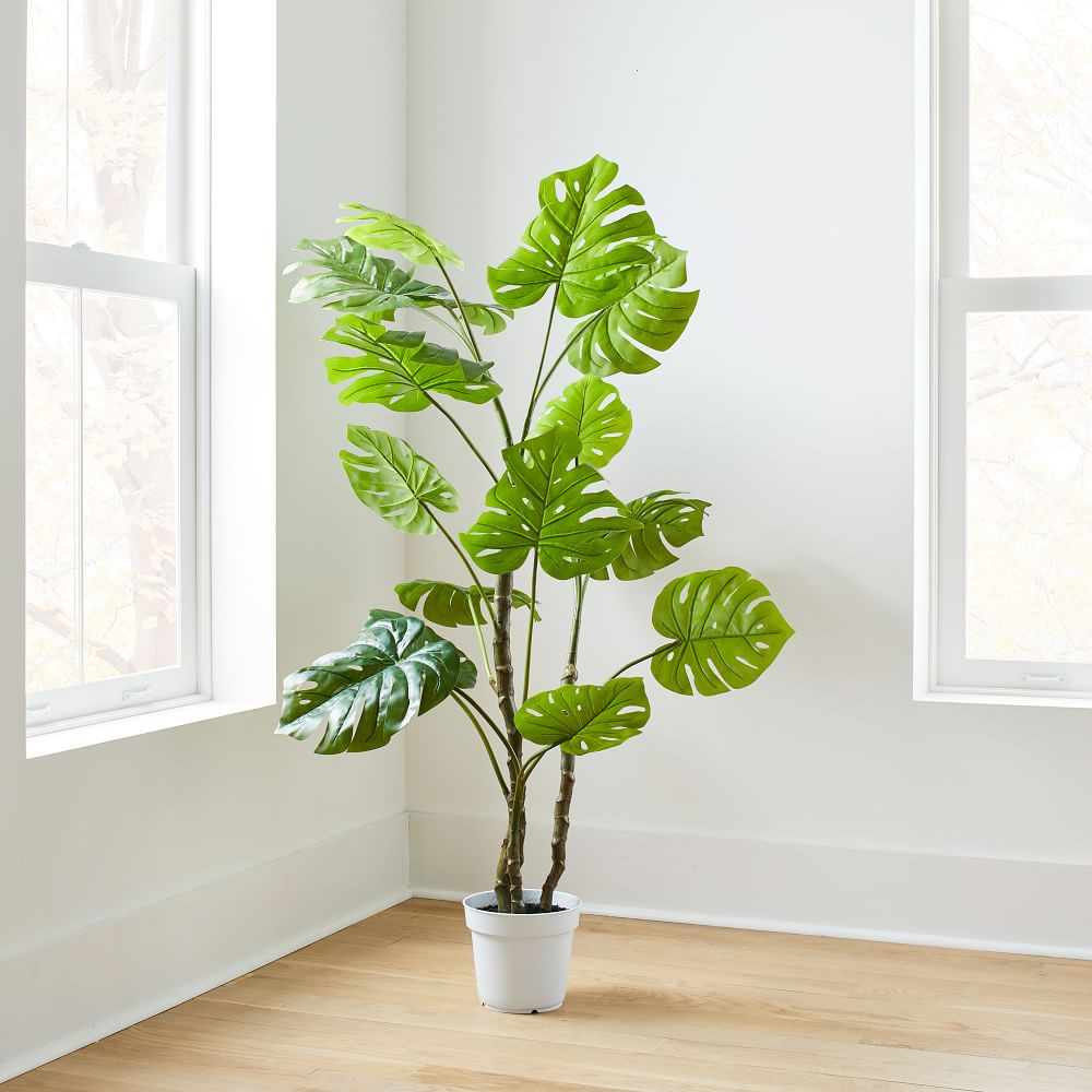 Faux Potted Monstera | West Elm (US)