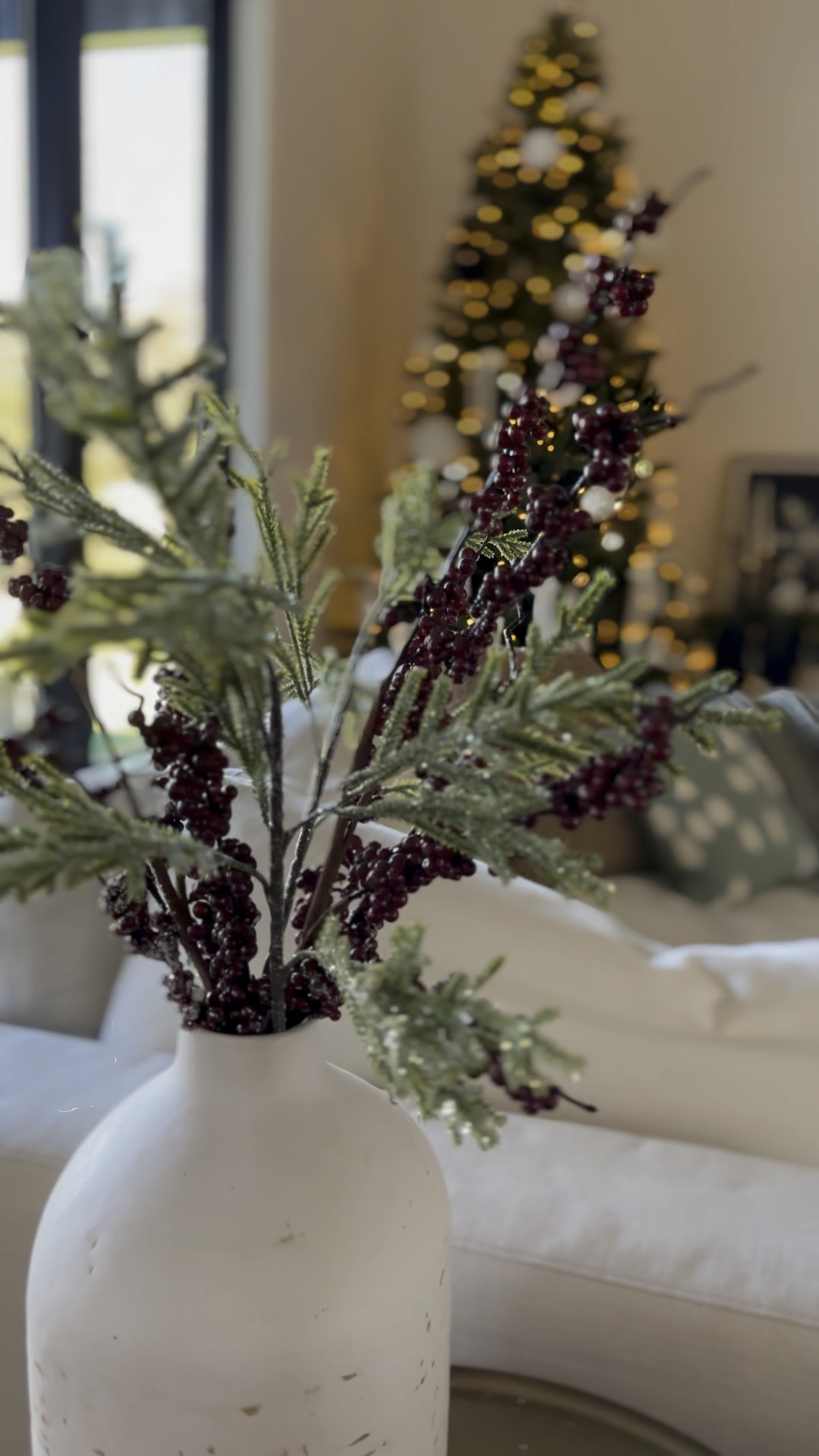 This case is a staple, I use it every season. It’s currently on sale! 
.
.


#LTKhome #LTKHoliday #LTKSeasonal