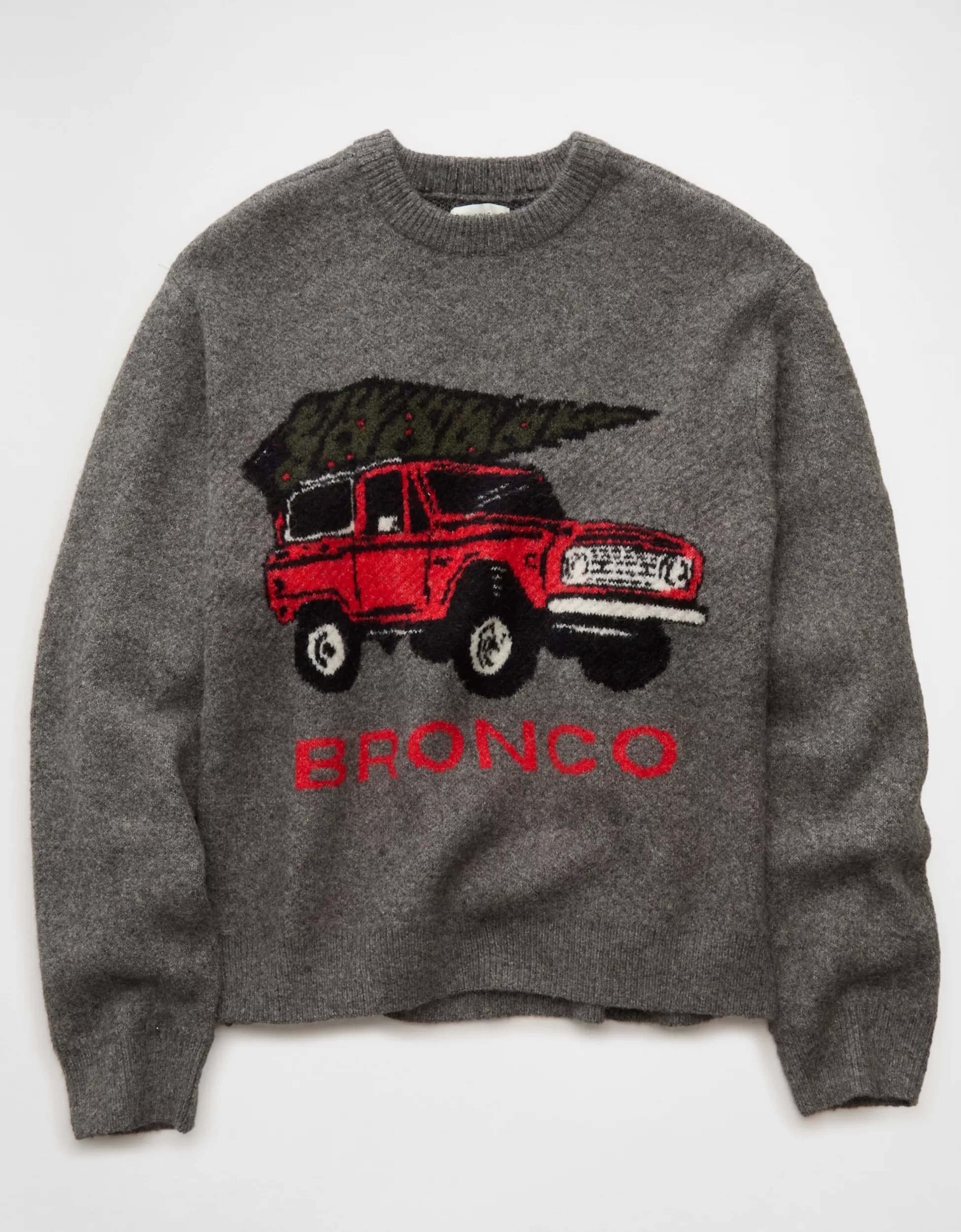 AE Cozy Cabin Ford Bronco Sweater | American Eagle Outfitters (US & CA)