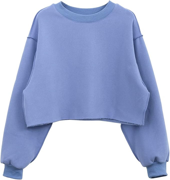 Amazhiyu Women Cropped Sweatshirt Long Sleeves Pullover Fleece Crop Tops | Amazon (US)
