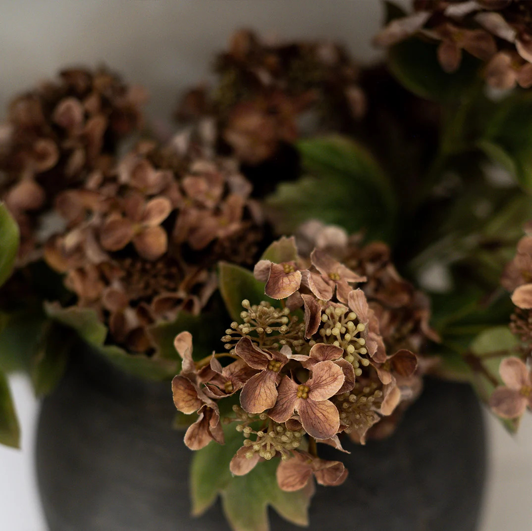 Autumn Hydrangea Stem | Elements by Remedy