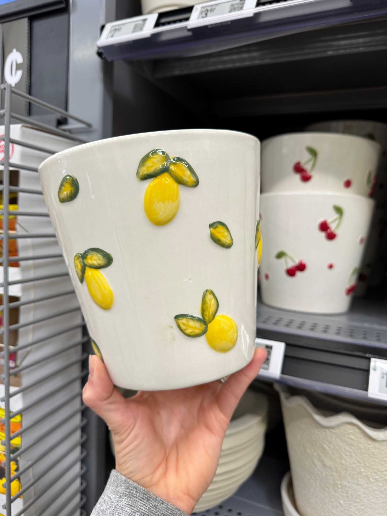 These cutie planters 😍🍋🍒🎀

#LTKSeasonal #LTKHome