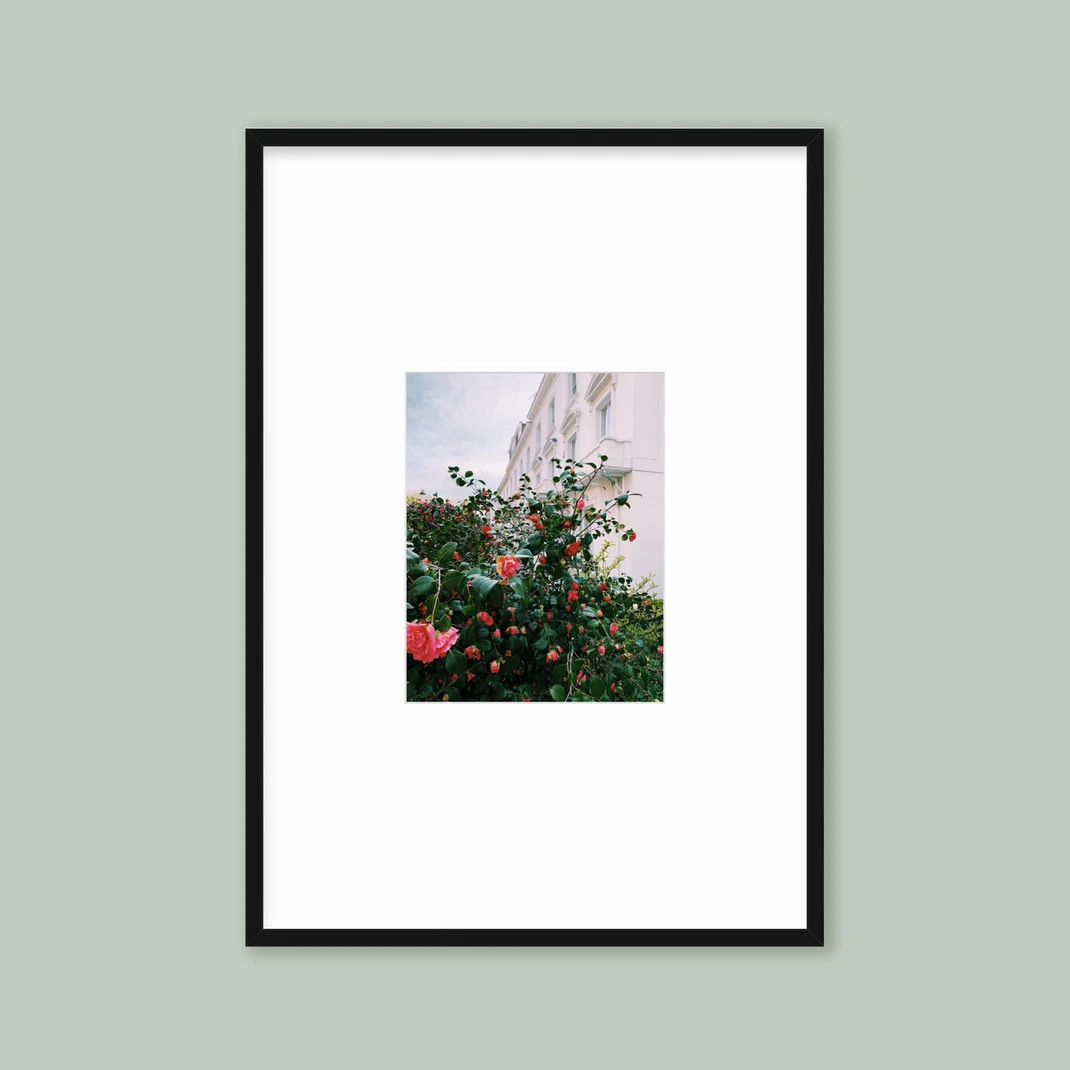 The Vertical Triptych: Single Frame | Framebridge