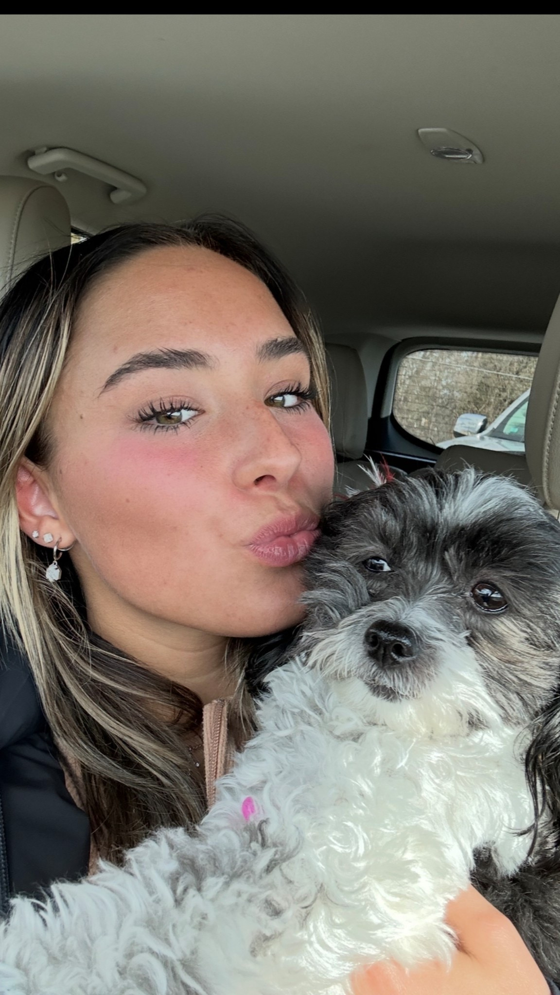 PUPPY ESSENTIALS

#LTKFindsUnder50 #LTKPets #LTKHome