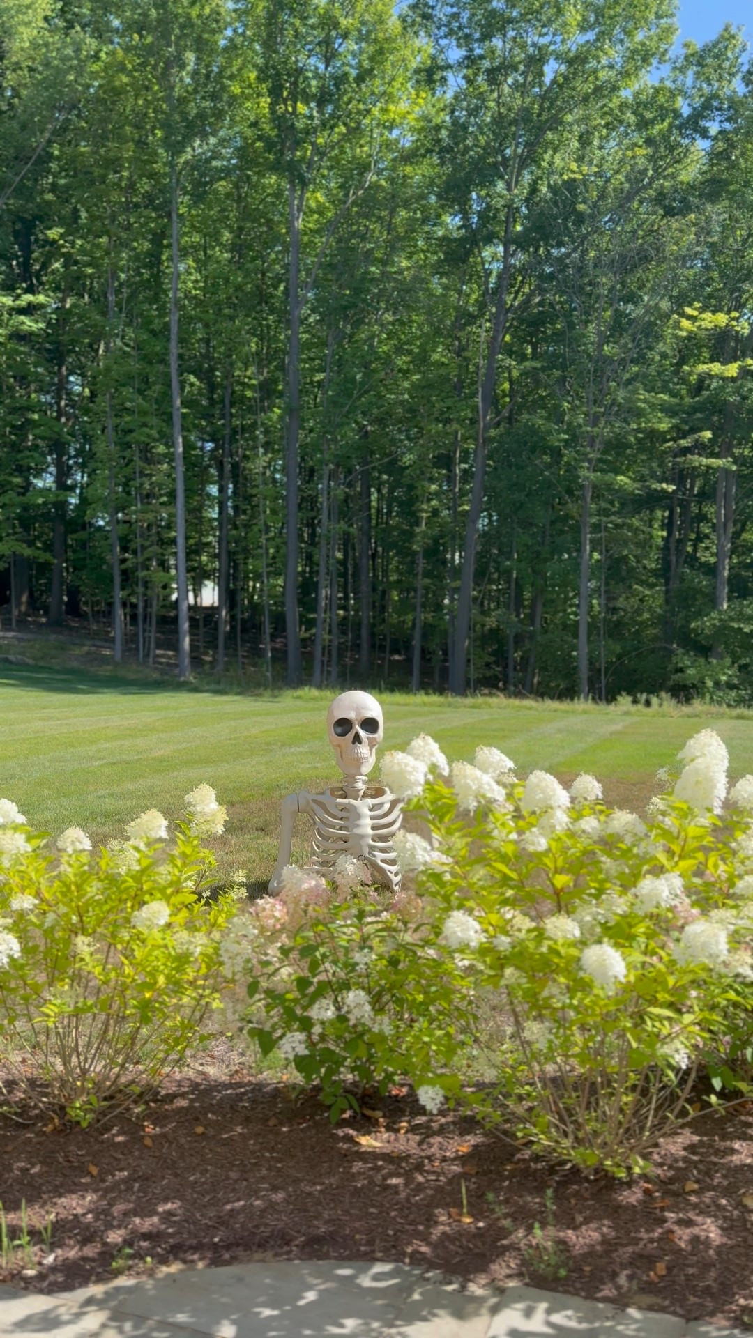 Costco Skeleton Dupe!!