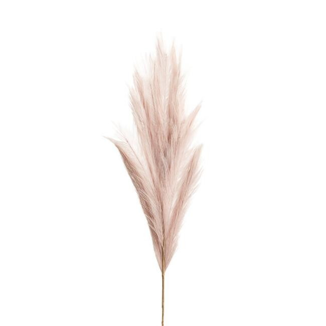 Faux Pampas Grass Stem 40 Inch | World Market